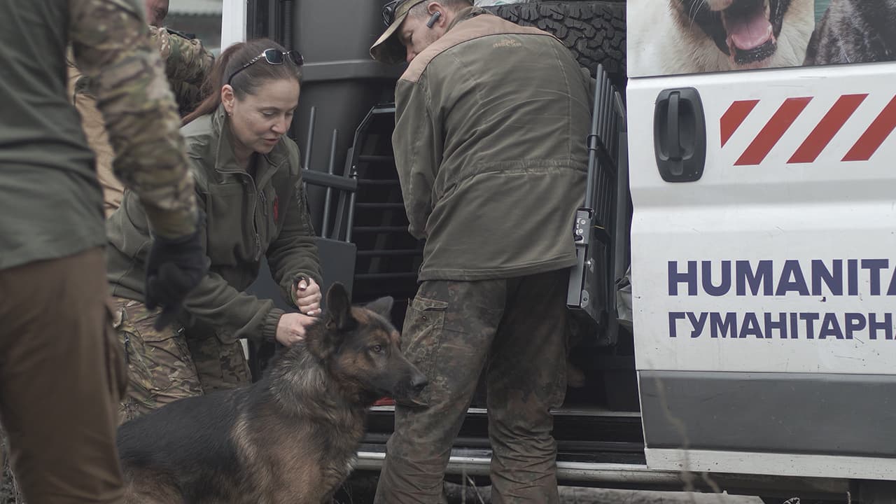 Frontline animal evacuation